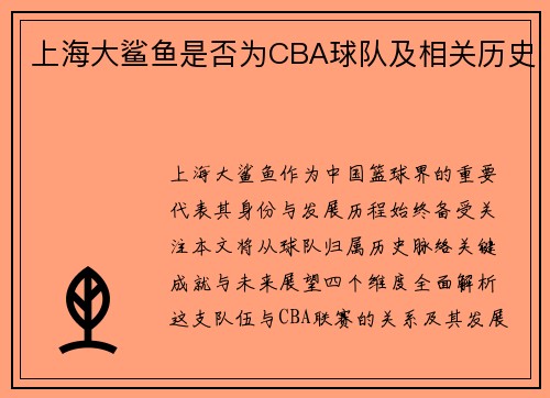 上海大鲨鱼是否为CBA球队及相关历史